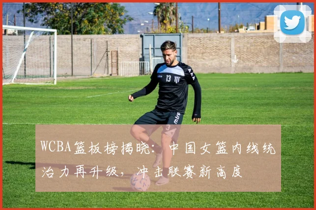 WCBA篮板榜揭晓：中国女篮内线统治力再升级，冲击联赛新高度