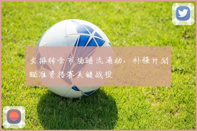 女排转会市场暗流涌动，补强计划瞄准资格赛关键战役
